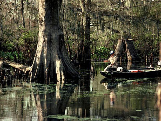 Louisiana_swamp_iStock_0000.jpg 