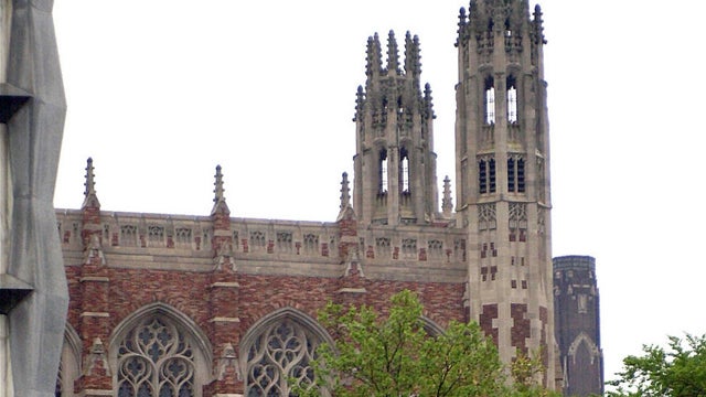 yale.jpg 