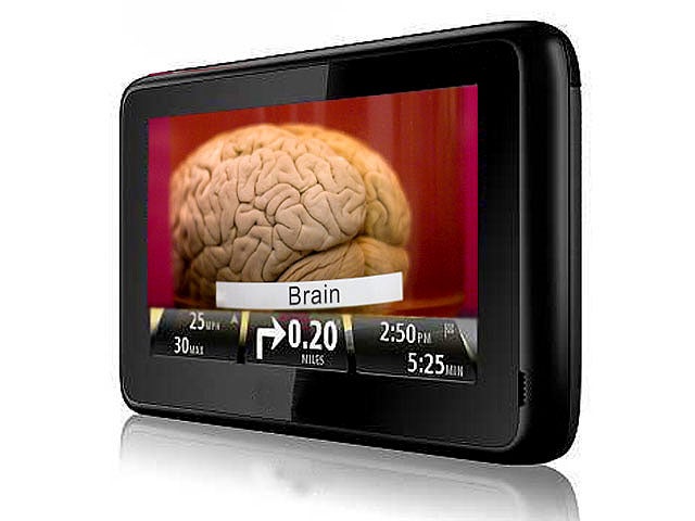 GPS for the brain? New brain atlas wows scientists