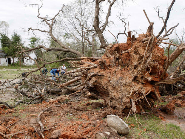 Volunteers pitch in to remove branches from a fallen oak tree in Tushka, Okla 