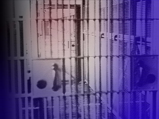 Thieves targeting under-construction Va. Jail 