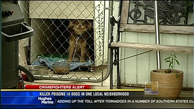 poisoned_dogs.jpg 