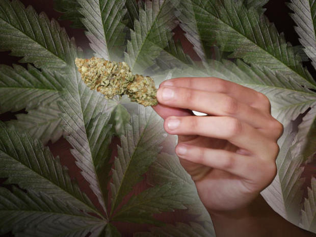 Does Jersey's medical marijuana program violates federal law? 