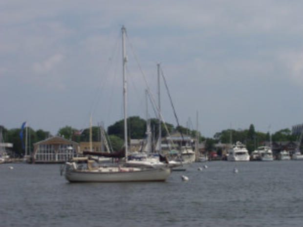 Annapolis Harbor  