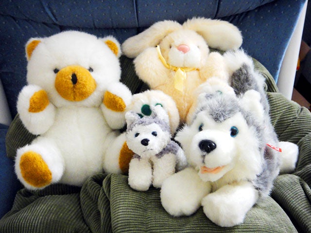 stuffed-animals_1.jpg 