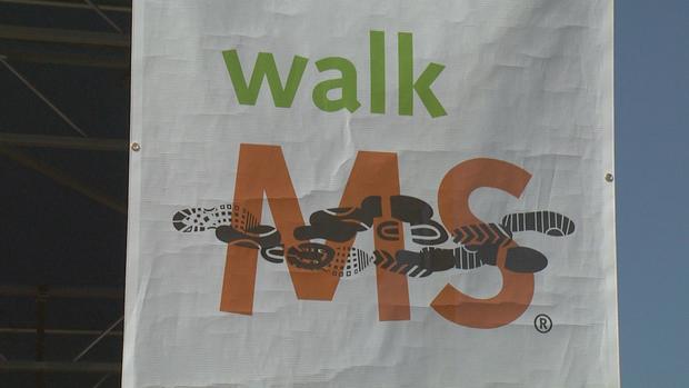 walk-ms-19.jpg 