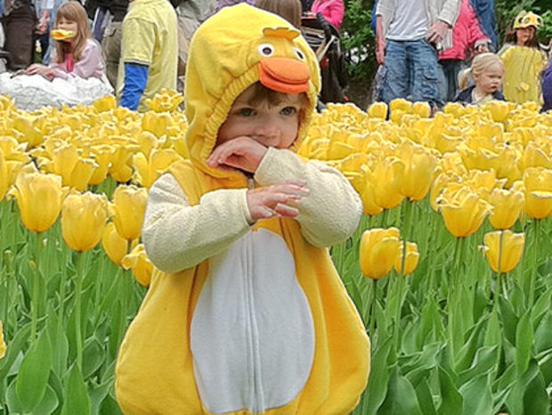Duckling Day Parade 