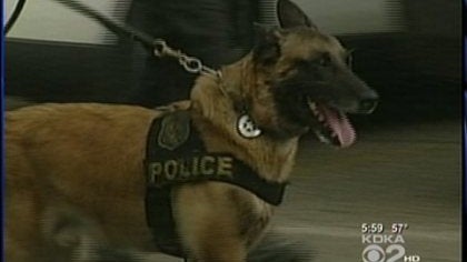 k9officer.jpg 