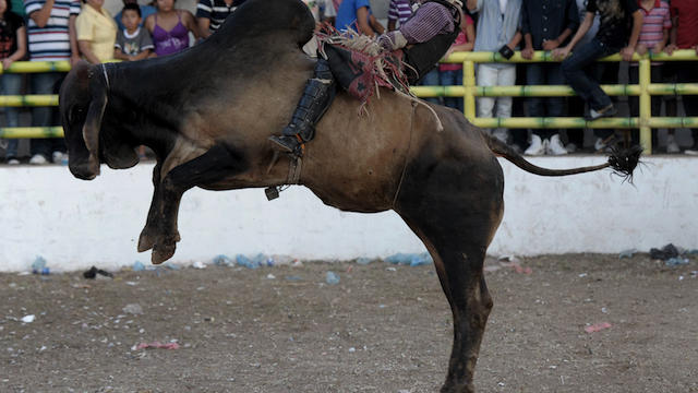 rodeo-big-for-dl.jpg 