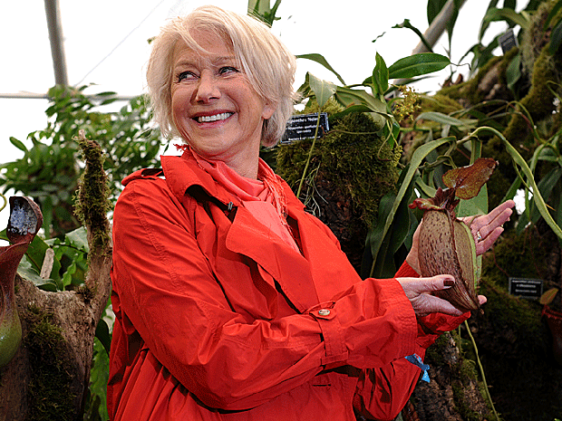 006-chhelsea-mirren.gif 