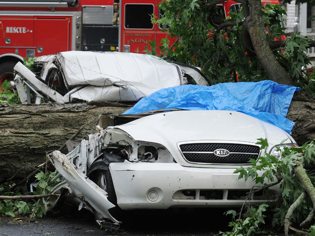 car sits crushed by a tree 