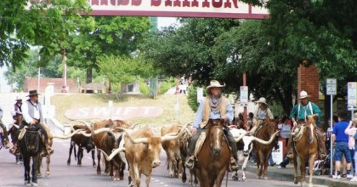 Saddle Not Required: Fort Worth Stockyards Walking Tour - CBS Texas