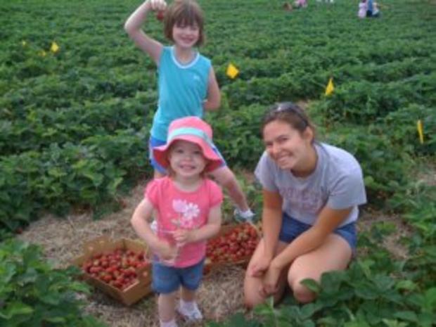 picking strawberries 