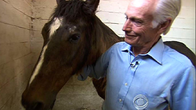 Horseman and 1983 Preakness winner 