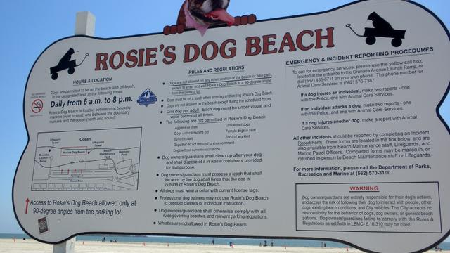 rosies-dog-beach.jpg 