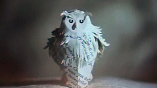 pottermore2_623.jpg 