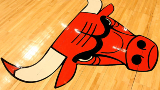 bulls-logo.jpg 