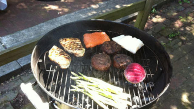 barbecue-grill-dl-hadas.jpg 