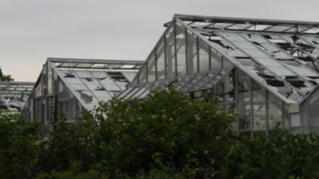 garfield-park-propagation-greenhouses2.jpg 