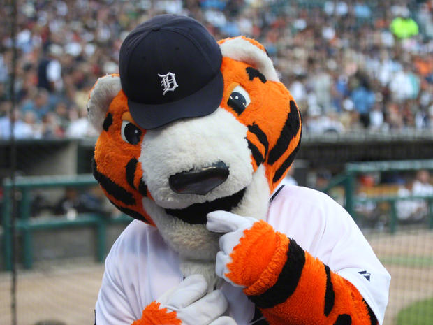 Tigers mascot Paws 