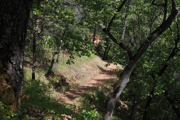 7/18 Arts &amp; Culture - Sonora - Dragoon Gulch Trail 