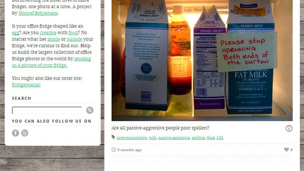 25 genius Tumblrs you should follow 