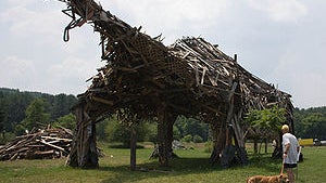 Vermontasaurus.jpg 
