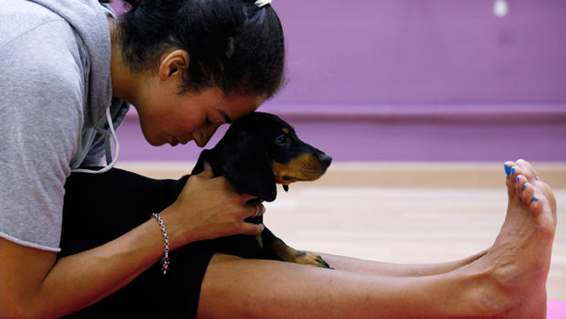 Doga: Aligning mind, body - and paws? 