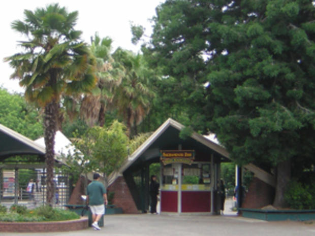 Sacramento Zoo  