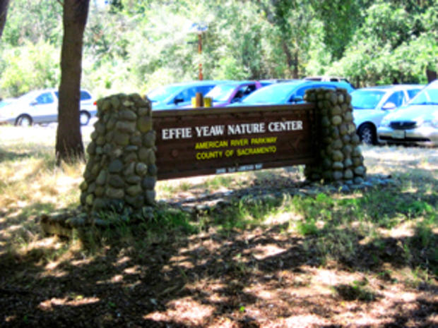 Effie Yaw Nature Center 