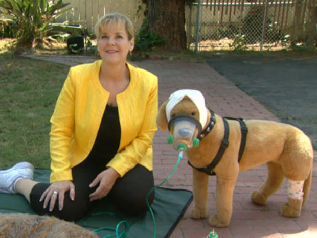 Denise Fleck With Pet First Aid Kit 