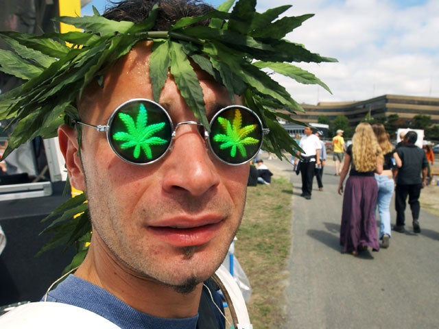 WAweed-2404297.jpg 