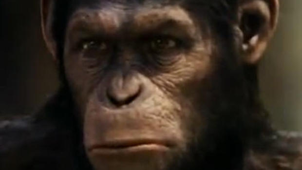 "Planet of the Apes": 6 decades of monkey mayhem 