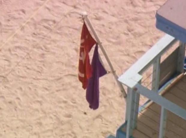 beachwarning-flags1.jpg 