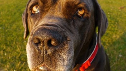 50 more incredible Instagram photos 