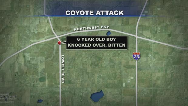 COYOTE ATTACK MAP 
