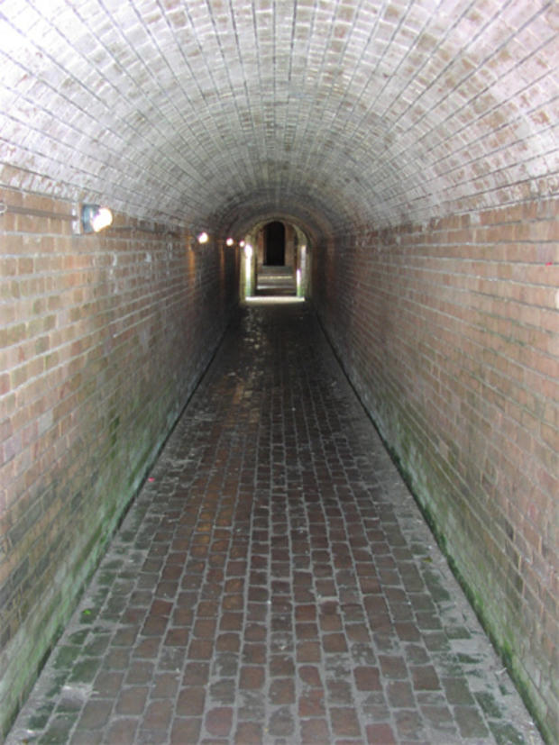 fg_tunnel.jpg 