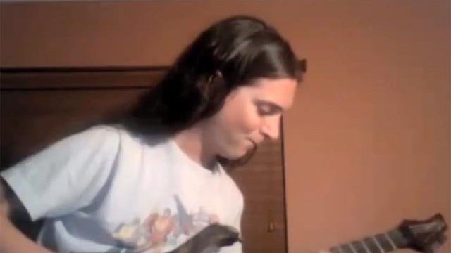 nyan cat metal cover 