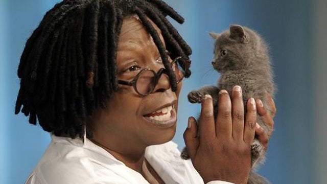 whoopi-goldberg-kitten.jpg 