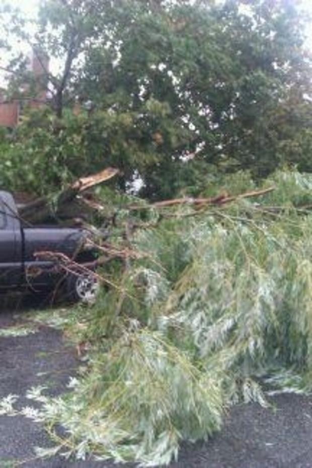 hurricane-irene-tree-hits-car-dundalk-md.jpg 