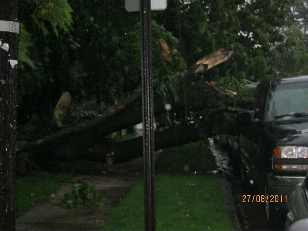 hurricane-irene-tree-down-dundalk-md.jpg 