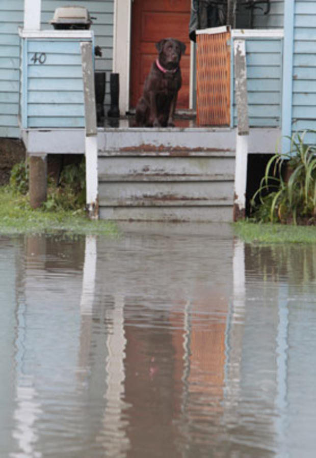 A dog sits on a porch by a flooded street in the aftermath of Tropical Storm Irene on Aug. 29, 2011, in Waterbury, Vt.   