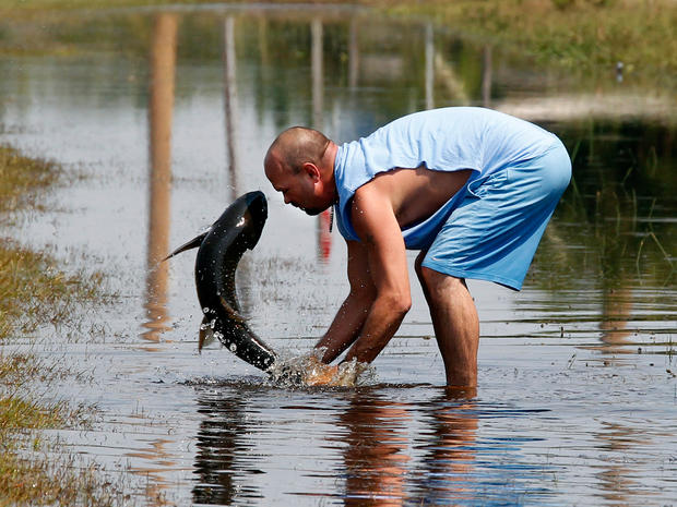 Greg Austin of Avon, N.C. tries to save a large fish that was washed out of a local pond during the storm surge from Hurricane Irene, in Avon, N.C.,  Aug. 29, 2011. 