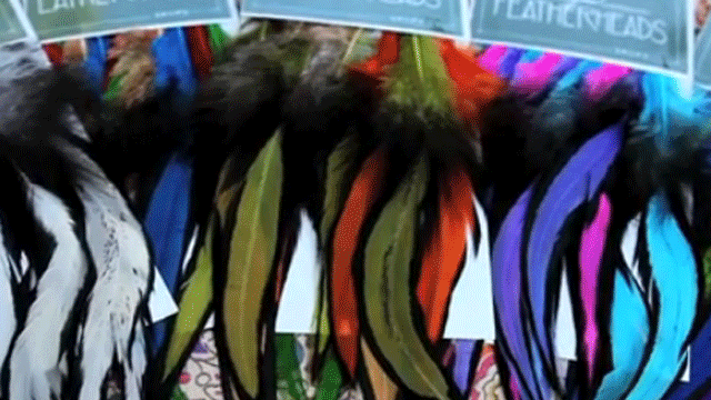 featherheads.gif 