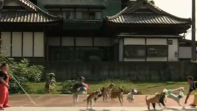 jump rope dogs 