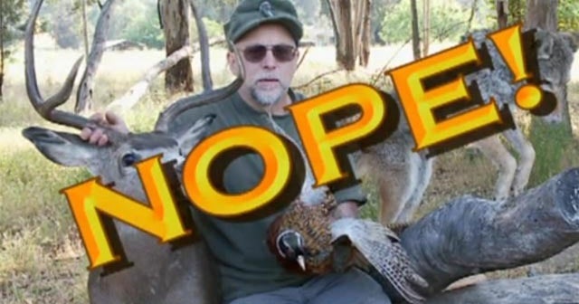 chucktestataxidermist.jpg?v=18a5d3569ab1