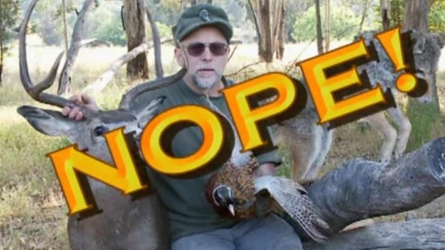 chuck testa, taxidermist 