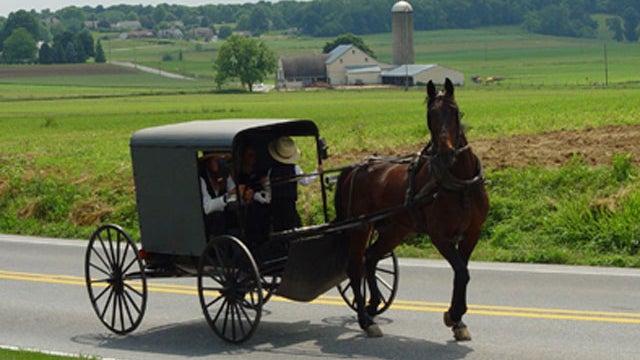 amish-horse-drawn-buggy.jpg 