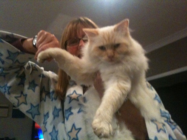 LOL-worthy "teapotting" photos - it's the new "planking" 