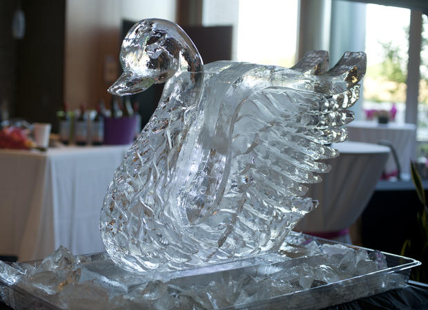 Swan Ice Sculpture (photo by: Barbara Nelson) 